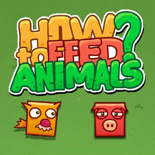 How To Feed Animals cover