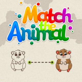Match The Animal cover