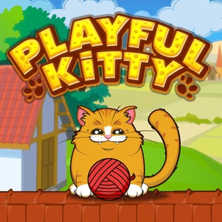 Playful Kitty cover